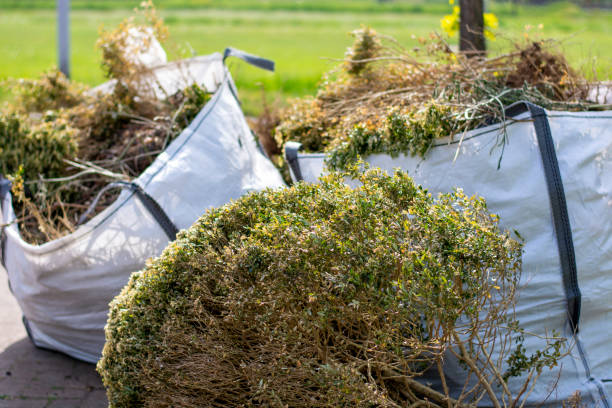Best Junk Hauling Services  in Ripley, WV