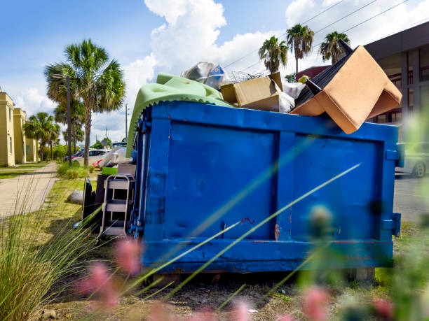 Best Attic Cleanout Services  in Ripley, WV