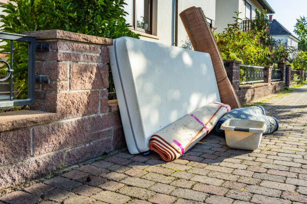 Best Office Junk Removal  in Ripley, WV